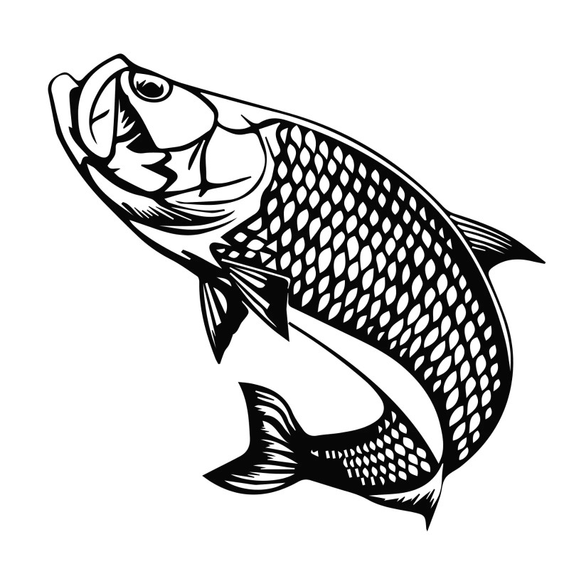 Bait Binder® 'Old Chum Crumble' Just Add Water Chum Kit