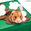 Hyokkori Hamster Handmade Hide and Seek Moole Swatter Educational Toy