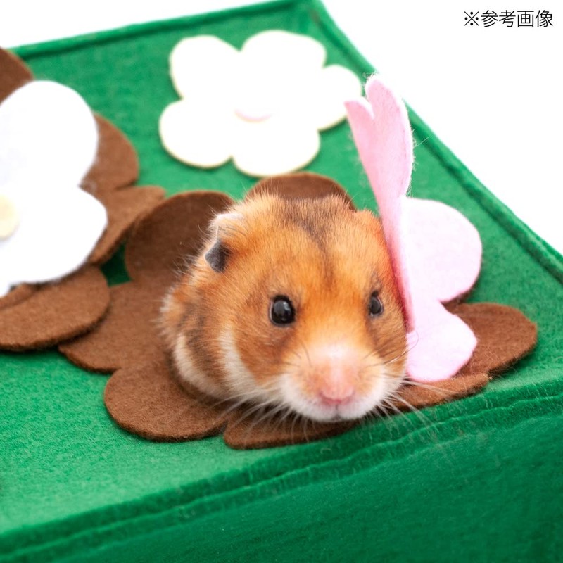 Hyokkori Hamster Handmade Hide and Seek Moole Swatter Educational Toy