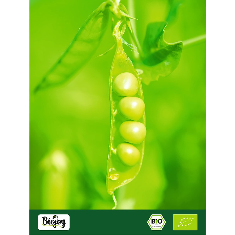 Biojoy Organic Pea Protein Powder (500 g), Neutral, No Additives