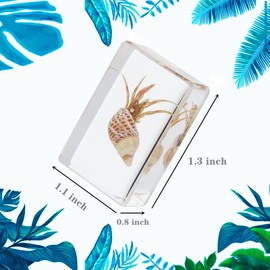 12 Pcs Real Ocean Animal & Insect Specimens in Resin - Educational Science Display Collection with 12 Unique Styles - Perfect for School Projects, Bug Collectors & Home Decor