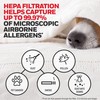 Genuine Honeywell HRF-ARVP100 1-Year Value Filter Kit for Medium Room