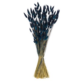 Vickerman 24" Dried Dark Blue Bunny Tail Lagurus Bunch, 3.5 oz.