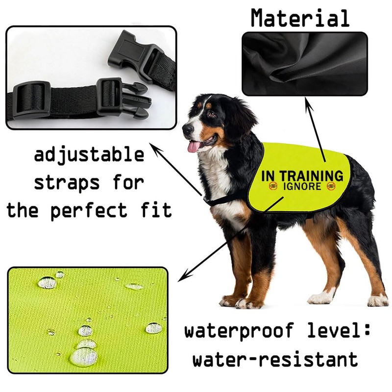 In Training Ignore Dog Jacket Vest Dog In Training Nervous