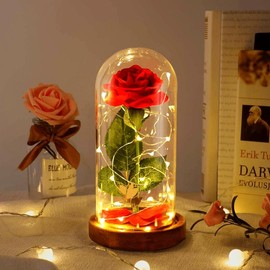 Light Up Rose in Glass Dome, Eternal Beauty and The Beast Rose, Mothers Day Rose Gifts for Women, Birthday Gifts for Mom, Mother's Day Rose Gift Ideas for Wife Decor Room Decor - Color: Multicolored