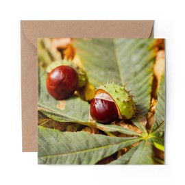 1 x Greeting Card Conker Horse Chestnut Tree - Blank Birthday Celebration Anniversary #2137