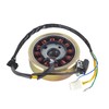 Magneto Stator with Flywheel Rotor Kit 12 Coil 5 Wire
