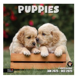 RED EMBER Puppies 2025 Hangable Monthly Wall Calendar | 12" x 24" Open | Thick & Sturdy Paper | Giftable