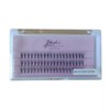 Blush & Glow Cluster Lashe Extension (10D/0.07/3row/13mm)