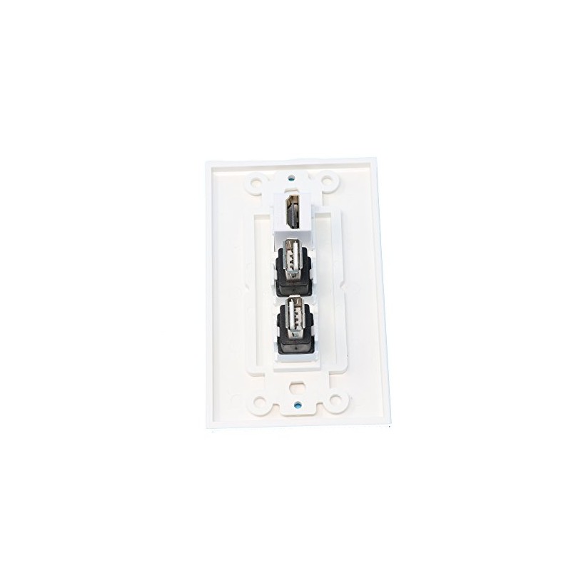 RiteAV 1 Port HDMI 2 Port USB A-A Wall Plate