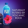FIJI Natural Artesian Bottled Water 1 Liter / 33.8 Fl