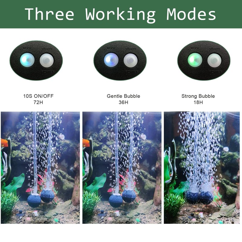 Lewisia 8W Solar Air Pump Kit with Air Hose and