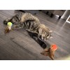 SmartyKat Flutter Balls Catnip Plush and Feather Cat Toys, Erratic