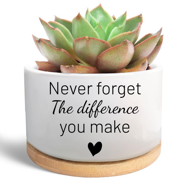 WSLCHOVE Funny Succulent Plant Pot, Thank You Gifts for Coworker