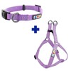 Pawtitas Value Bundle Set | Medium Dog Harness + Medium