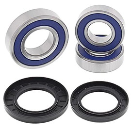 All Balls Racing Wheel Bearing Kit, Upgrade 25-1635 Compatible with/Replacement for Arctic Cat 250 DVX 2006-2008, 300 2x4 2010-2012, 300 DVX 2009-2012