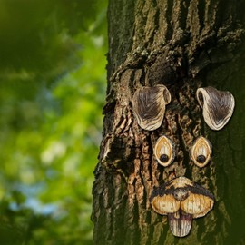 Relaxdays Tree Face Rabbit, 5 Pieces, Tree Trunk Decoration, Weatherproof, Tree Decoration for Hanging, Decorative Rabbit, Garden Decoration, Brown/Beige, 10.5 x 11.5 x 6.5 cm