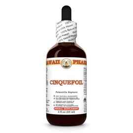 Cinquefoil (Potentilla Reptans) Dry Herb Tincture, Made in Hawaii, All Natural, Vegan, Pure Liquid Extract - 2 fl.oz