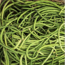 TomorrowSeeds - You Fong Wong Yard Long Bean Seeds - 30+ Count Packet - for 2025 Black Seeded USA Asparagus Green String Bean Cowpea Chinese Asian