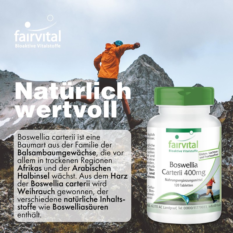 fairvital Boswellia Carterii 400 mg, 120 Vegan Tablets, African Frankincense