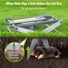 YardYield Mole Trap,Galvanized Steel Mole Scissor Trap,Reusable Mole Gopher Trap,Easy