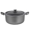FRED Granite Non-Stick Deep Stock Pot with Glass Lid (10L