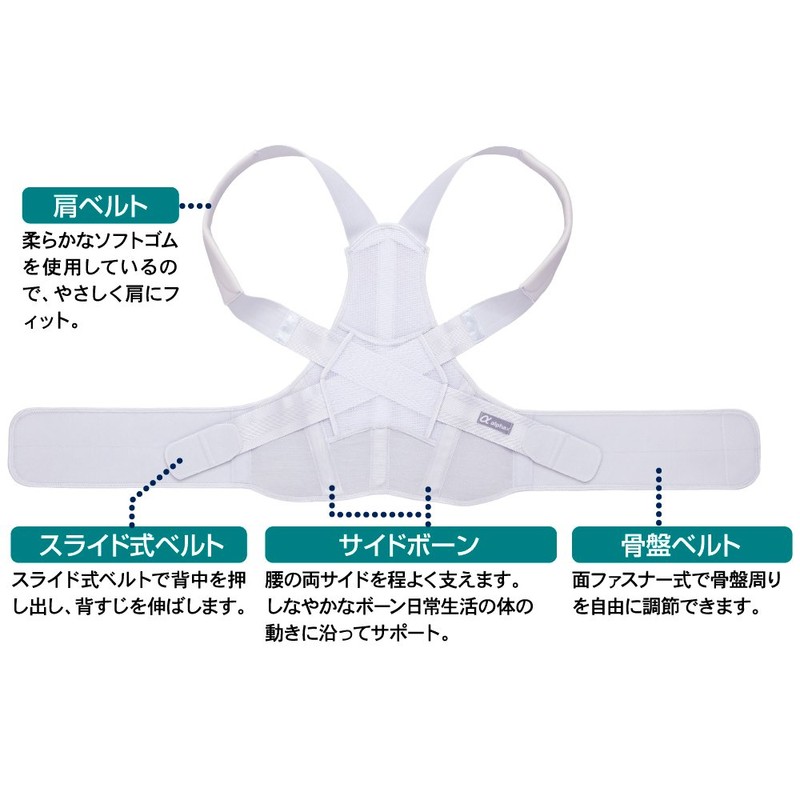 Alphax Posture Supporter, Doctor's Firm Back Belt, L-LL, Made in