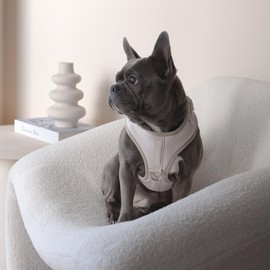 Dog Harness Ivory Off White Neoprene Leather Design Sport Small Medium Large No Pull Reflective Adjustable Breathable Lightweight Pet (S: Neck=13.8-17.3''/Chest=16.1-21.3'')