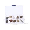 Gatuida 1set Rock and Mineral Collection Kit for Geology Classrooms