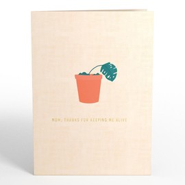 Lovepop Mother's Day Pop-Up Card with Mini Paper Bouquet for Her - 3D Greeting Cards for Mom, Wife, Women - 5" x 7 Plant Card - Blank Notecard & Envelope Included