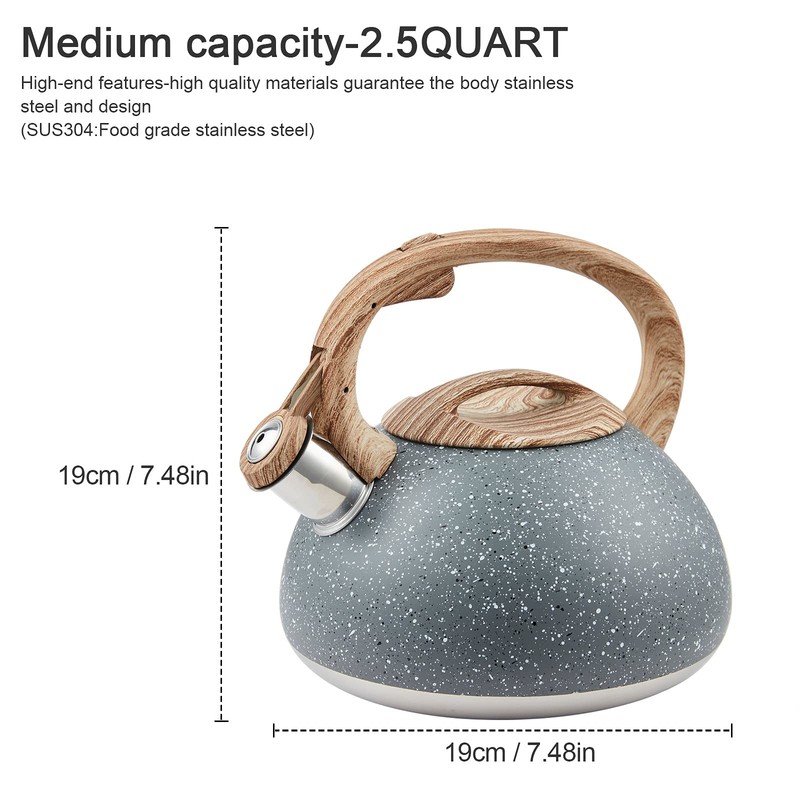 s-p Whistling Tea Kettle Stainless Steel Teapot,Teakettle for Stovetop Induction