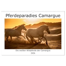 Pferdeparadies Camargue (Wandkalender 2026 DIN A3 quer), CALVENDO Monatskalender: Die weißen Pferde der Camargue in den Sümpfen und am Strand (CALVENDO Tiere)