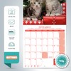 Grupo Erik Calendar 2025 Wall Calendar 2025 Cats Simon K.