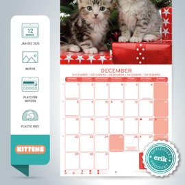 Grupo Erik Calendar 2025 Wall Calendar 2025 Cats Simon K. & Greg C. Dogs Calendar 2025 Family Planner 30 x 30 cm Annual Calendar 12 Months