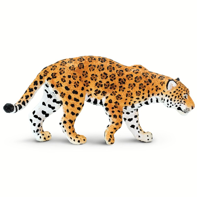 Safari Jaguar