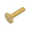 B&P Lamp® 6/32 Brass Plated Thumbhead Screw, 1/2" Thread Length