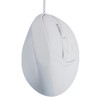 Nakabayashi MUS-UKF208W Digio2 Ergonomic Mouse, 5 Buttons, BlueLED, White