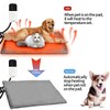 Pet Heating Pad AU Plug, Electric Heating Mat for Dogs