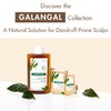 Eucerin Klorane Balancing Shampoo with Galangal and Lactic Acid for