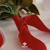 MEEDEE Red Grosgrain Ribbon 2 Inch Grosgrain Hair Ribbon 25