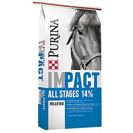 Purina | Impact All Stages 14 Pelleted Horse Feed | 50 Pound (50 LB) Bag