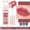 Saniye Brillo Labial de Alto Pigmento con Efecto Voluminizador LS021,