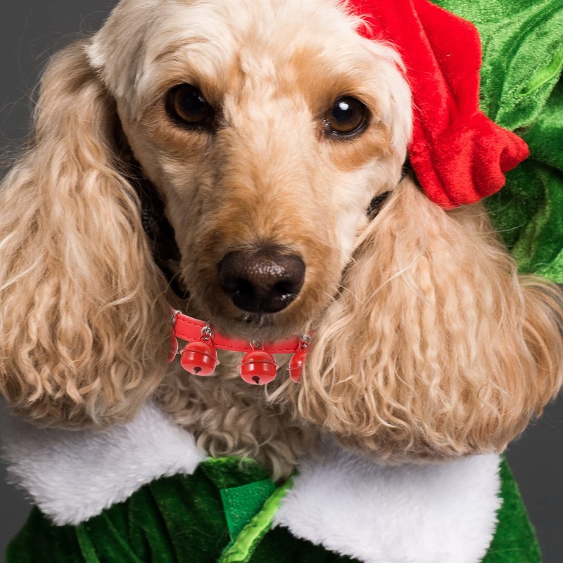 balacoo Pet Collar and Leash Combo Jingle Bell Dog Collar