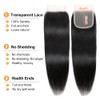 4x4 Lace Closure Brazilian Human Hair Straight HD Transparent Swiss