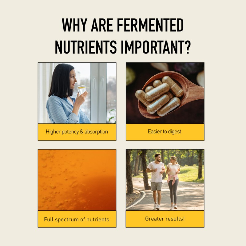 Living Alchemy Fermented Rhodiola