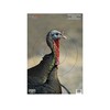 Birchwood Casey 35403 Shooting Target Pre Game Turkey Target 12