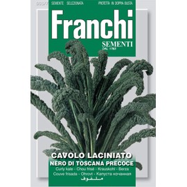 Franchi Curly Kale - Cavolo laciniato Nero di Toscana precoce