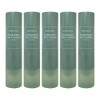 Aromatica Rosemary Salt Scaling Shampoo 300g 5pcs / 아로마티카 로즈마리