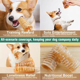 Dexudo 6 Inch Beef Trachea Dog Chews (6 pcs - 8 oz) - Trachea Dog Treats,Digestible and Safe Chews for Dogs - Natural High Protein for Medium & Large Dogs, Teeth Grinding & Cleaning,Training Rewards