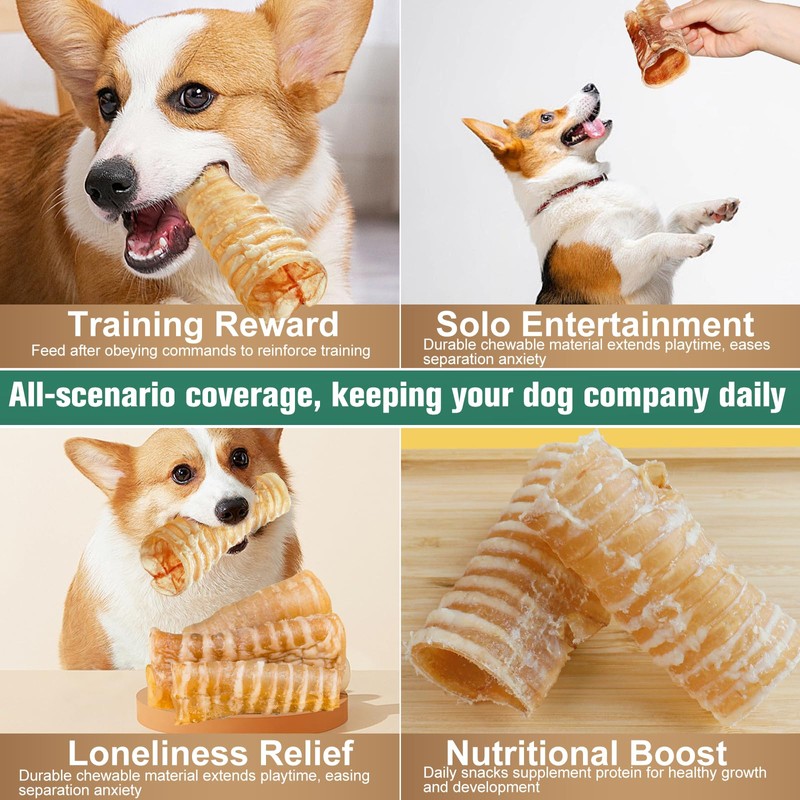 Dexudo 6 Inch Beef Trachea Dog Chews (6 pcs -